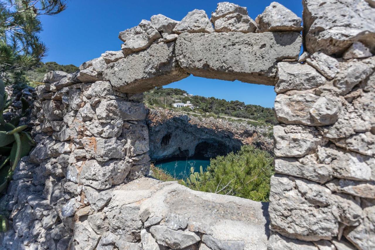 Il Posto Delle Fragole *