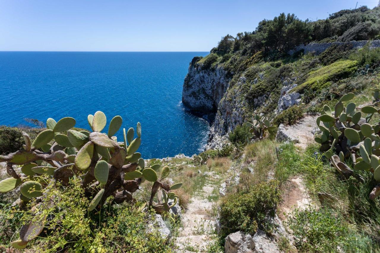 Il Posto Delle Fragole *